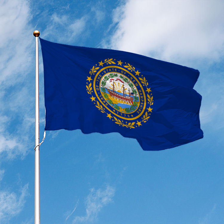 New Hampshire State Flag